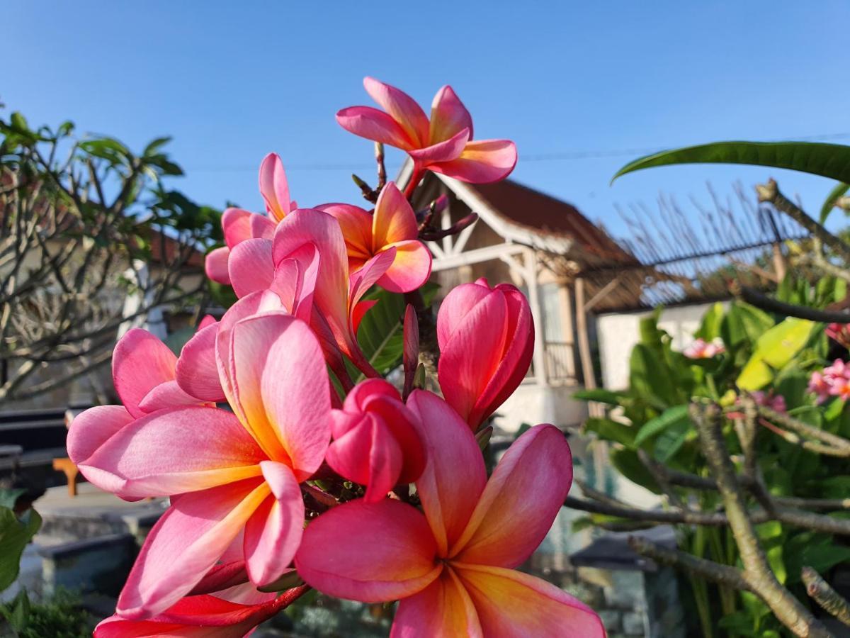 De Jantux Villa 乌鲁瓦图 外观 照片